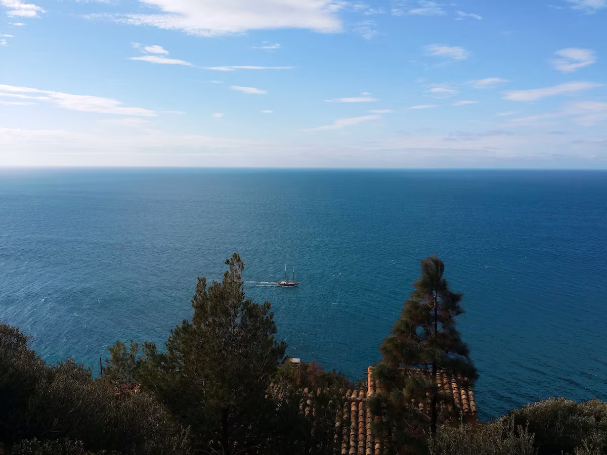 A boat crossing the horizon beyond the treetops